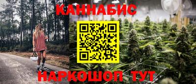 гидра Моздок
